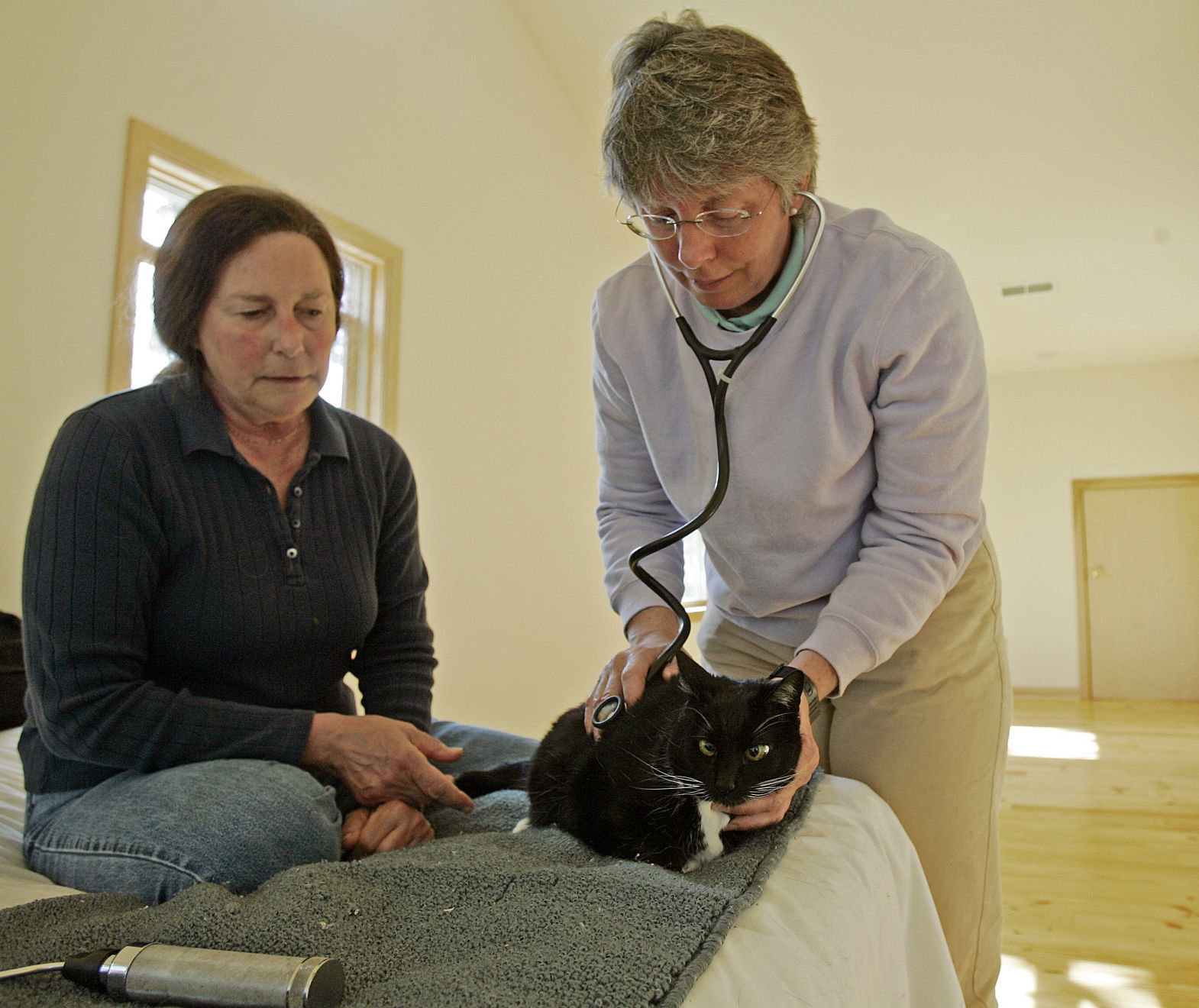Veterinarian